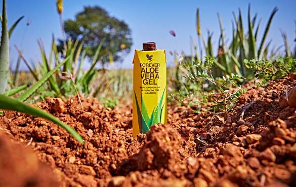 Forever Aloe Vera Gel innehåller hissnande 99,7 % av vår egen högkvalitativa Aloe vera och vitamin C.